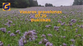 Vasaros Gravelonas